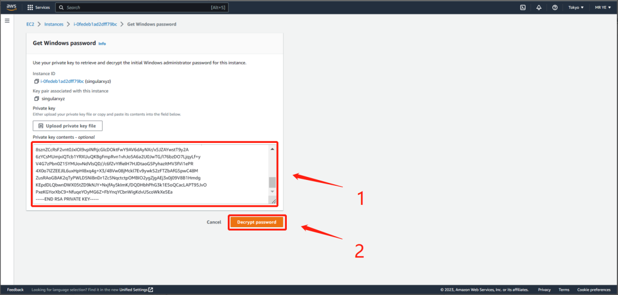 Pasting a private key to decrypt the EC2 Windows password