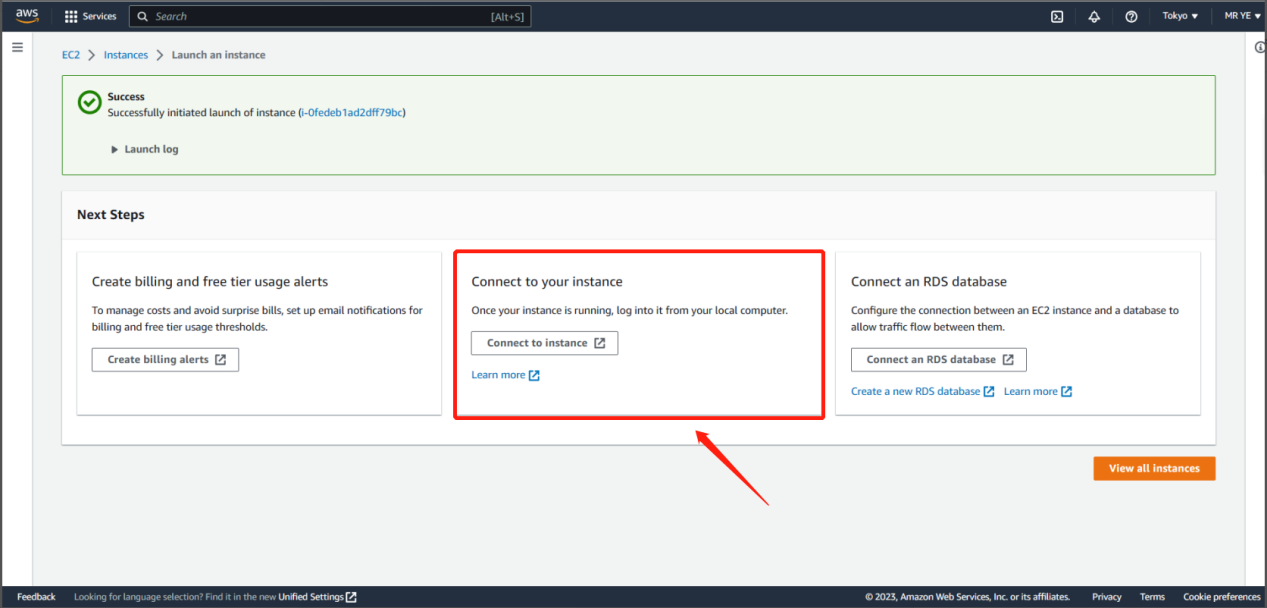 Successful EC2 launch with the Connect to your instance option