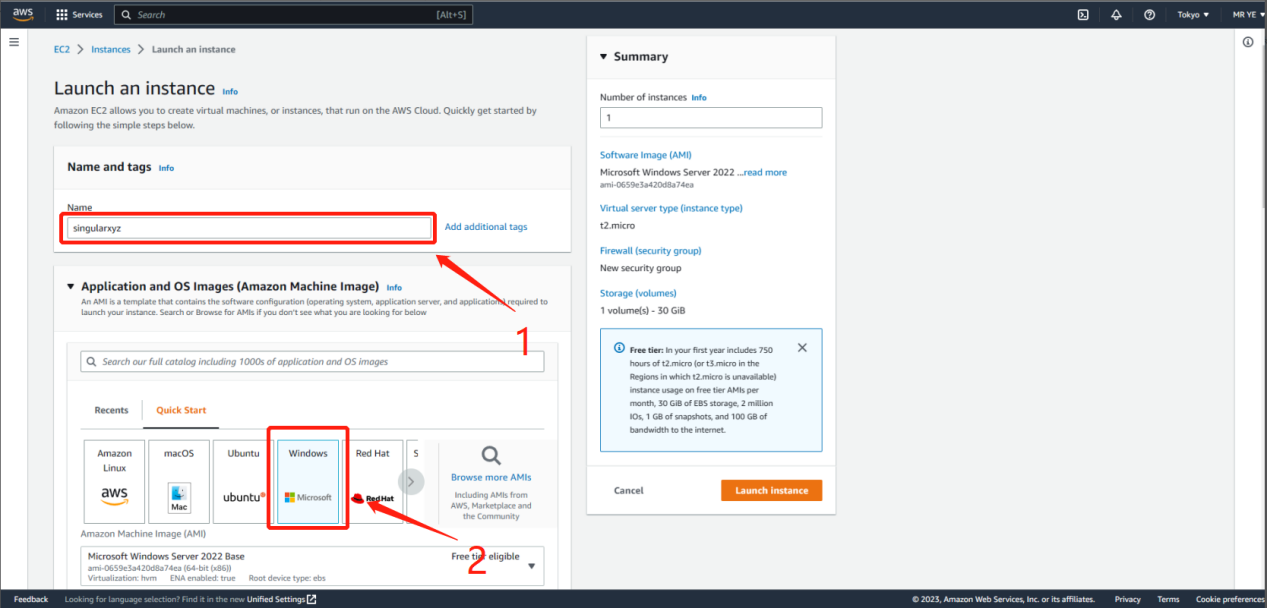 Naming an EC2 instance and selecting Windows